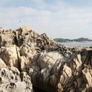 크로톤풀 빌라 이미지