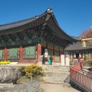 모악산도립공원 티스토리