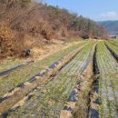 부곡리부동산공인중개사사무소 이미지