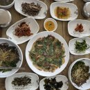 울릉향민박 | 울릉도 나리분지 숙소 추천 산채비빔밥 맛집 카페 내돈내산 후기
