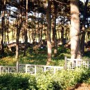 영광 성산리 지석묘군 이미지