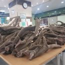 경희일생한의원 이미지