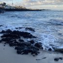 데이지호텔 | 제주도 가성비 숙소 추천 더베스트 성산 / 골든데이지 서귀포 / 아길라호텔 애월 트윈룸 후기