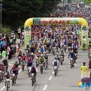 강변자전거길(남) 이미지