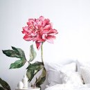 보테니컬 아트 이미지