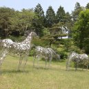 느랭이골자연리조트 이미지