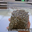 더와이즈랩 네이버블로그