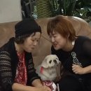 해피미용실 이미지