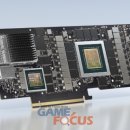 블루필드 이미지