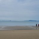 지니비치향 이미지