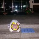 양양군청 이미지