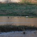 무사리마을회관 이미지