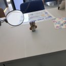 부엉이 안경·콘택트 이미지