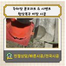 365미장약국 | 싱가주택 주차장 입구 턱 콘크리트 시멘트 미장 보수