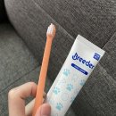 도림하나동물병원 이미지