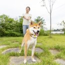 엔케어동물의료센터 이미지