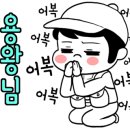 아울호 이미지