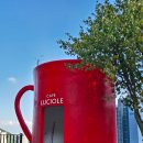 북면-6 | 창원북면애견동반카페: 카페 루시올레