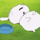 경기도 수원시 장안구 정조로934번길 이미지