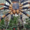 아산환경과학공원 놀이터 이미지