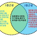 세신세탁소 이미지
