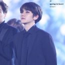 알파오메가 이미지