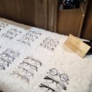 어바웃글라스 서창 이미지