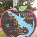 종댕이길 이미지