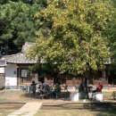 인지솔카페 이미지