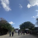 슈리네 | 오키나와 여행코스 | 오키나와 슈리성 후기 생각보단 노잼