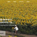 싱싱코리아