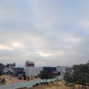 플리블리 이미지