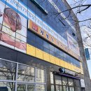 장보는 강아지와 고양이 이미지