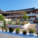 전국야생화전시회 이미지