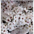 수유마을 이미지