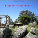 매봉산 정상 이미지