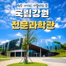 원주 아이랑 가볼만한 곳｜국립강원전문과학관 실내 과학체험 후기