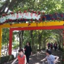 장미의거리 입구 이미지