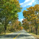 화북초등학교용화분교장 이미지