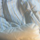 스타피시방 본점 | 그때는 몰랐던 것들이 이제야 보여