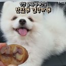 맛있개 건강하개 네이버블로그