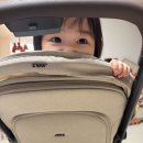 드디어 샀다! JOOLZ 에어플러스 휴대용 유모차
