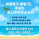 소나무주유소 이미지