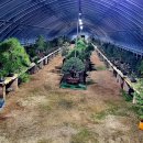 성한가든 이미지