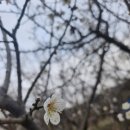 샬롬농장 이미지