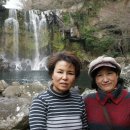 천제연폭포 이미지