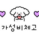 흥덕빈대떡 광교점 이미지