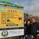 만희농장 이미지