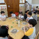 강동초병설유치원 이미지