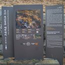 대지-걷기 이미지